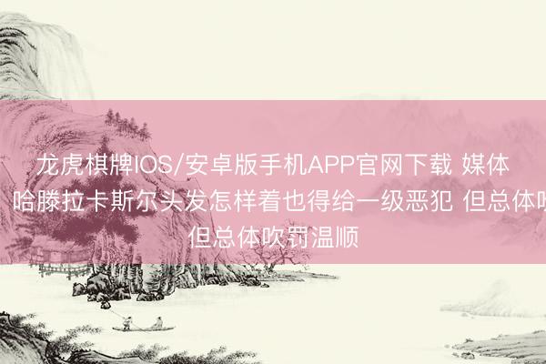龙虎棋牌IOS/安卓版手机APP官网下载 媒体东谈主：哈滕拉卡斯尔头发怎样着也得给一级恶犯 但总体吹罚温顺