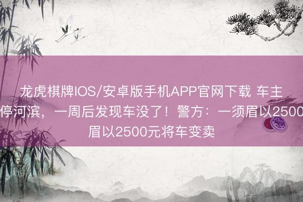 龙虎棋牌IOS/安卓版手机APP官网下载 车主为