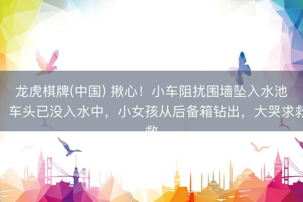 龙虎棋牌(中国) 揪心！小车阻扰围墙坠入水池，车头已没入水中，小女孩从后备箱钻出，大哭求救